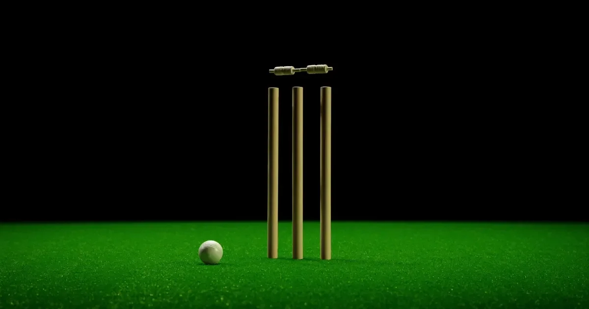 T20 Cricket Betting Guide: Markets, Settlement and DLS Rules